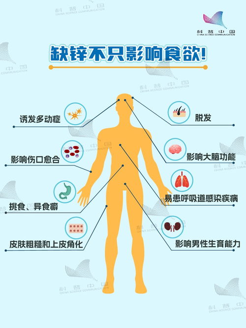 高锌食物大比拼 第1名竟然是 很多人补错了